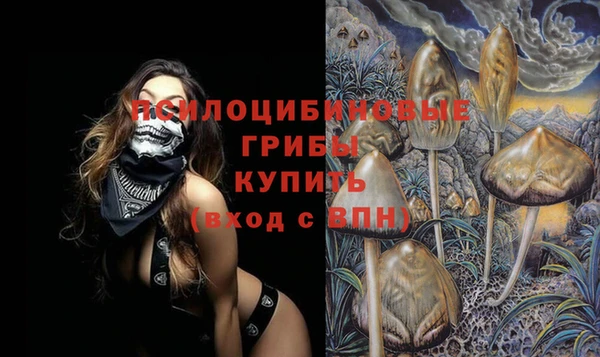 ПСИЛОЦИБИНОВЫЕ ГРИБЫ Алзамай