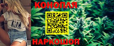 гашик Долгопрудный