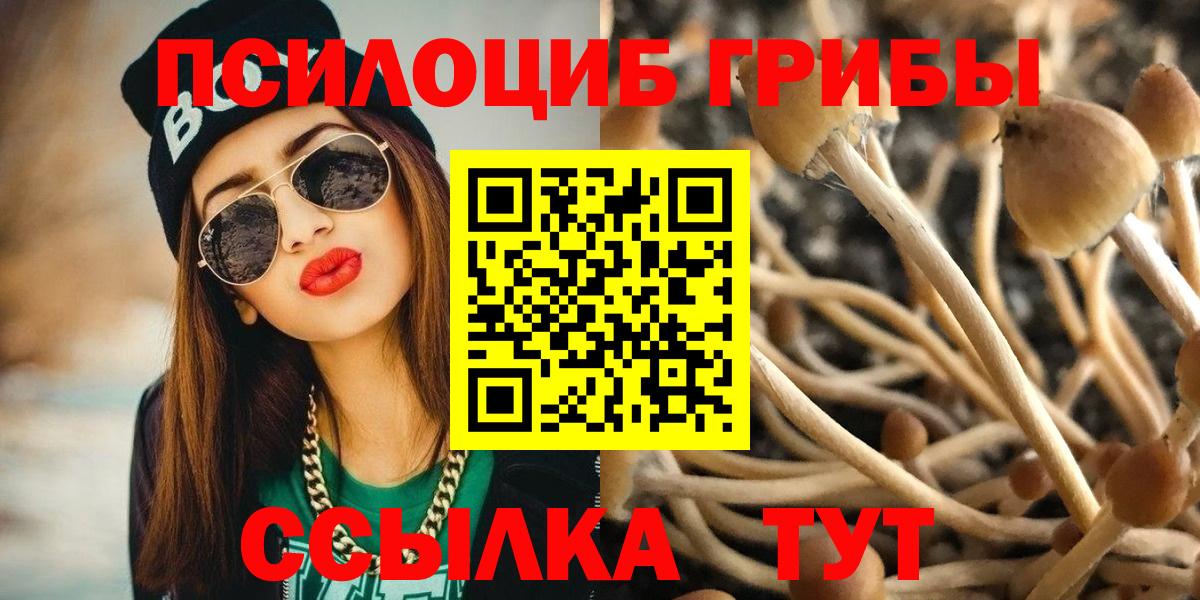 Псилоцибиновые грибы Cubensis Курган